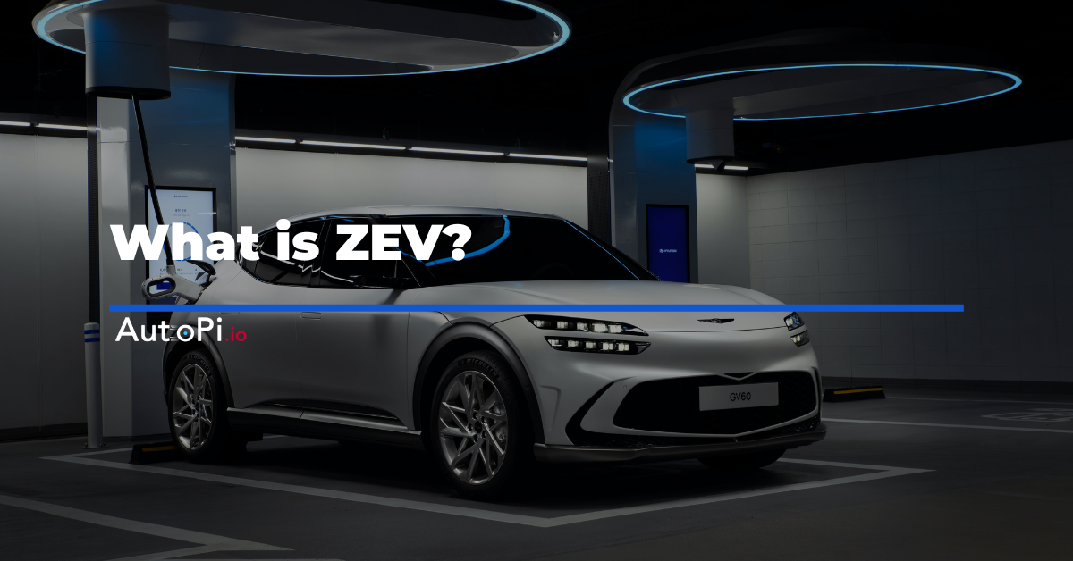 What is Zero Emission Vehicles?