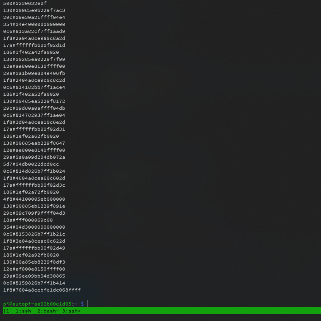 Raw CAN data How it looks like to decode raw can data
