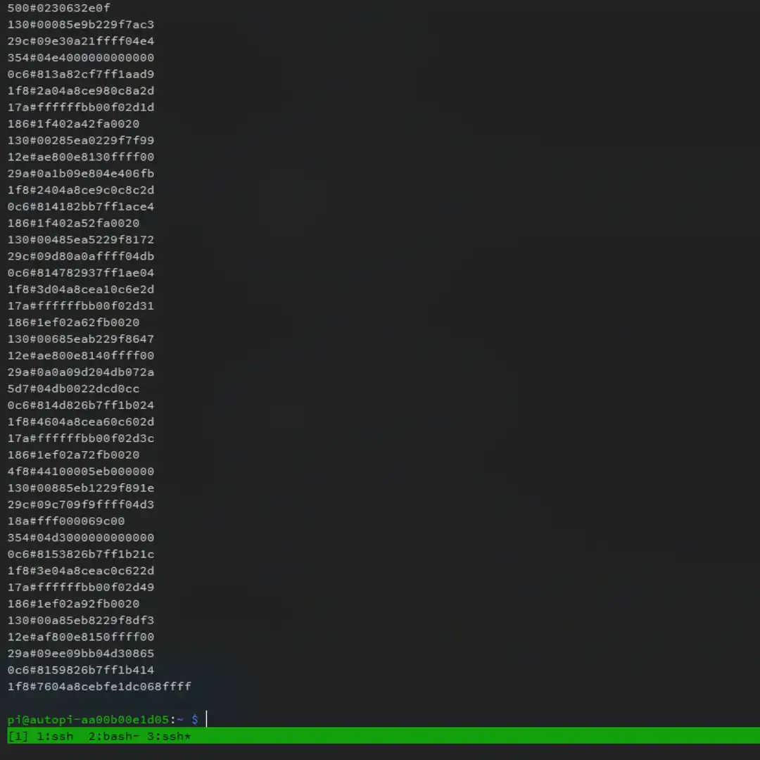 How decoding raw CAN data will look like