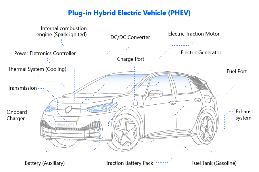 Beginner's Guide What is Electric Vehicles (EVs)?