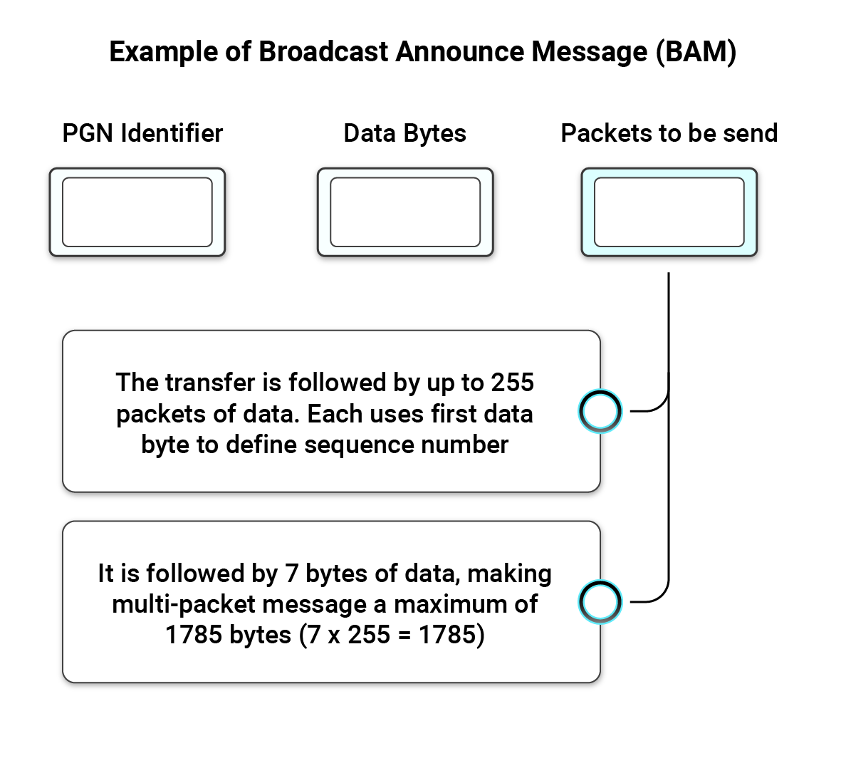 Example of Broadcast Announce Message (BAM) An example of Broadcast Announce Message (BAM)