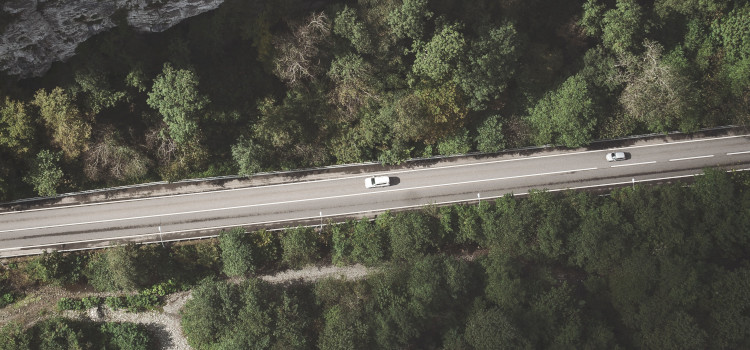 Car driving on the road beside green tress