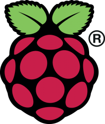 Raspberry Pi logo